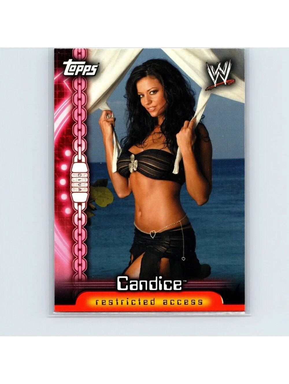 2006 Topps WWE Restricted Access Candice #D1 Divas
